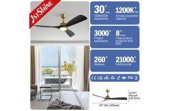 China 52-Inch Modern LED Ceiling Fan with DC Motor, Black ABS Blades supplier