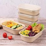Compostable Takeout Disposable Food Containers Bagasse Lunch Box With Lid for sale
