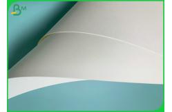 China 790mm Width 185gsm 235gsm PE Coated Cup Paper For Hot Coffee Cups supplier