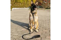 China Explosion Proof Thickened Extended Telescopic P-Rope For Golden Retriever Dog Traction supplier