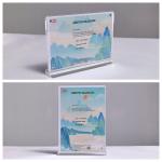 A3 A4 Custom Clear Transparent Magnetic T Shape Acrylic Sign Holder Brochure for sale