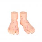 20CM Chinese Medicine Foot Massage Model PVC Material 13/17/19cm for sale