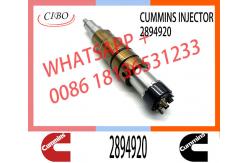 China Diesel Common Rail Fuel Injector 2872405 2894920 2872544 2086663 supplier