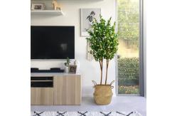 China PE Fabric Artificial Camellia Tree White Flower Customized Size supplier