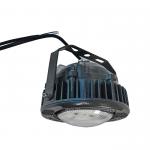 DL230 Explosion-Proof LED Lighting Fixture for Hazardous Environments - ExdIICT6