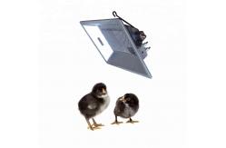 China THD2608 Brooder Gas Heater Energy Saving Baby Chicks Poultry Heating System supplier