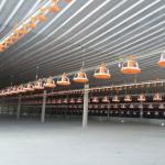 120L Pan Feeding System For Broiler Chicken Pan Feeder Yellow Red for sale