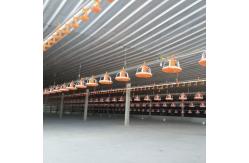 China 120L Pan Feeding System For Broiler Chicken Pan Feeder Yellow Red supplier