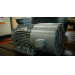 High Efficiency Low Rpm Speed Direct Drive Permanent Magnet Alternator Generator for sale