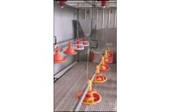 China Adjustable Speed Chicken Feeding Line Poultry Pan Feeding System supplier