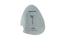 China 0.8mm Paper Blank Seed Embedded Cards 100 Sheet Eco Friendly supplier