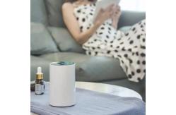 China HOMEFISH Portable Waterless Nebulizer Car Aroma Diffuser With Smart Touch Screen supplier