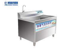 China Air Bubbles Leafy 150KG Ozone Fruit And Vegetable Washer supplier