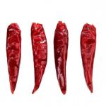 China 20000shu Stemless Dried Tien Tsin Chili Peppers Single Herbs for sale