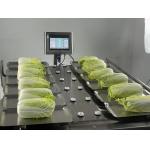 Manual Desk Top 500g 1Kg Weigher Machine For Fruit Vegetable Meat Fish