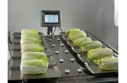 China Manual Desk Top 500g 1Kg Weigher Machine For Fruit Vegetable Meat Fish supplier
