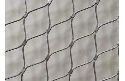 China Durable Stainless Steel Cable Zoo Wire Mesh Enclosures For Lion supplier