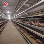 Breeding Equipment Layer Chicken Cage H Type 3 Tiers 54 birds / set for sale