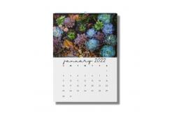 China Matte Lamination Desk Calendar Printing 600-1000gsm Monthly Wall Calendars supplier