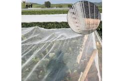 China Polyethylene Apple Tree Net Cover 60m 70m 80m Apple Tree Netting supplier