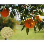 China Organic Food Grade Citrus Aurantium Extract Diosmin Yellow Powder EP10 for sale