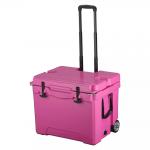 Custom Portable Insulated Ice Cooler Box Rotomold Cooler Chest Fish Bin for sale