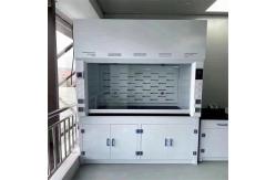 China Custom Research Lab Fume Hood With Scrubber Tank For School supplier