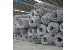 China Galvanized Heavy Hexagonal 0.3mm Woven Wire Mesh supplier