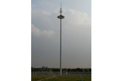 China Oem Steel Mono Pole Public Square Artificial Pine Tree Telecommunication supplier