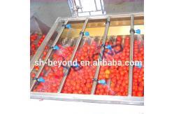 China Stainless Steel Fruit Sorting Machine , Energy Saving Fruit Grading Machine supplier