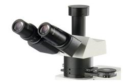 China Transmitted Polarization Microscope Metallurgical Orthogonal / Conoscope Observing supplier