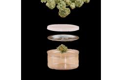 China Transparent PET Plastic Storage Jam Packaging Jar With Aluminum Lid supplier