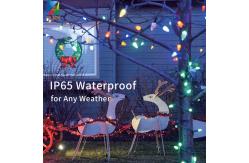 China Christmas LED Pixel String Lights 50 Nodes Addressable RGB C9 DC12V WS2811 supplier