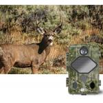 4K/2.7K/1080P Hunting Surveillance Camera With 4xAA Batteries 2500mAh for sale