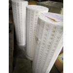                  Food Grade Conveyor Perforated Nub Top Belt for Biscuits Processing             