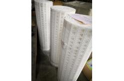China                  Transport PP POM PE Modular Plastic Conveyor Belt              supplier