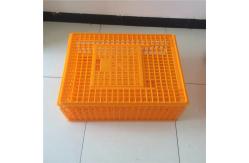 China Plastic crates for the transfer of chickens supplier
