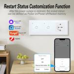 60mm Wall Mounted 2 Gang Plug Socket TuYa Zigbee Light Switch And Outlet Combo for sale