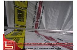 China Eco - Friendly Standard Flexo Printing Machine with Auto Hydraulic cylinder control supplier