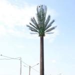 Camouflaged Communication Pine Palm Tree Tower 0m - 80m Height for sale