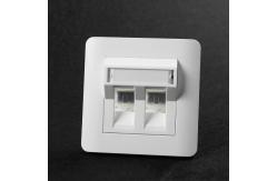 China 1pc/Poly Bag RJ45 Cat 5e Network Cable Faceplate supplier