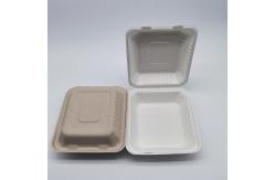 China 8 Inch Biodegradable Bagasse Tableware Sugarcane Laminated Food Containers supplier