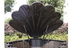 China Garden Shell Shaped Wicker Rattan Storage Box With UV Resistant supplier