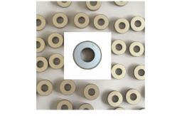 China 50pcs Piezoelectric Ceramic Pzt Plate Ring Tube Shape supplier