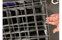 China Industrial Galvanised Welded Wire Mesh Panels / Steel Mesh Sheets Fencing Bwg12 Odm supplier