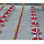 Floor Galvanized Chicken Feeding Line Automatic Feeding Machine For Poultry for sale