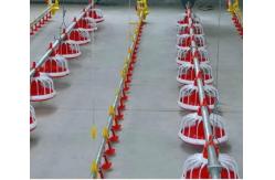 China Floor Galvanized Chicken Feeding Line Automatic Feeding Machine For Poultry supplier