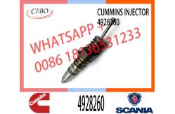 China ISX15 QSX15 Common Rail Fuel Injector 4928260 2874505 4903472 supplier