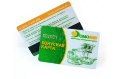 China Customizable PVC Plastic Card With Magnetic Strip 0.76mm Thickness supplier