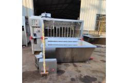 China Pig Dehairing And Scalding Machine Pig Slaughter Machine With Scalding Pool supplier